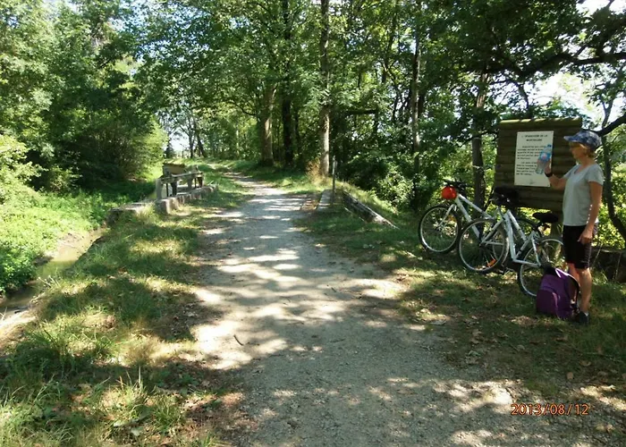 Le Moulin Du Roy 3* ريفيل